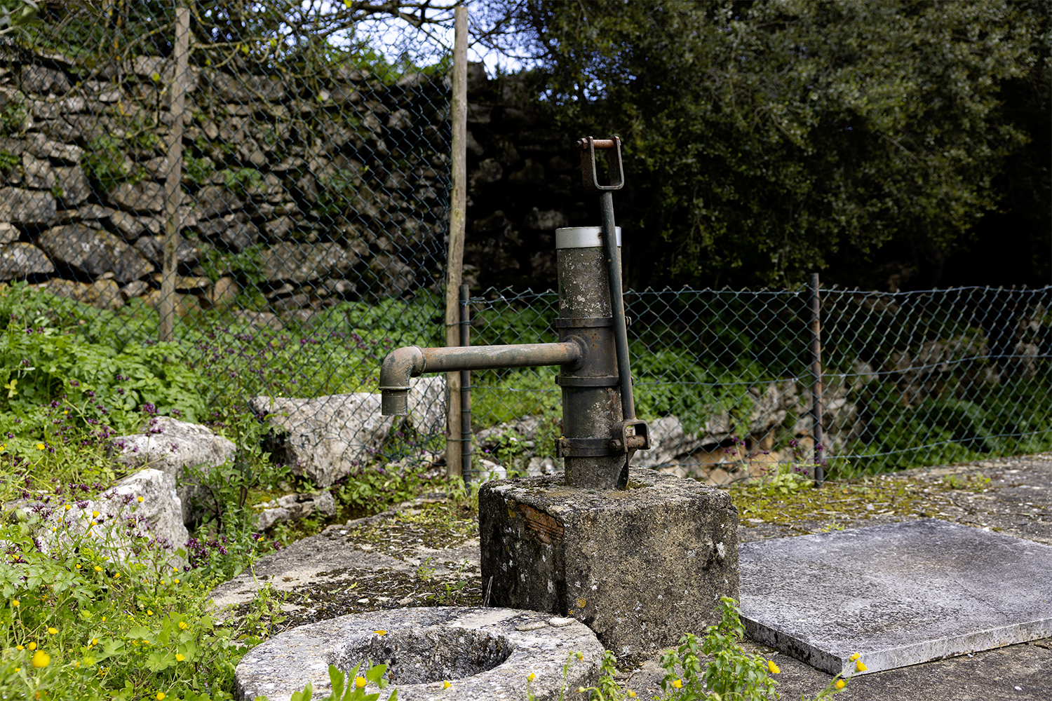 Mercado Freguesia de Fátima